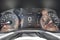 2026 Jeep Compass COMPASS 85TH ANNIVERSARY EDITION 4X4