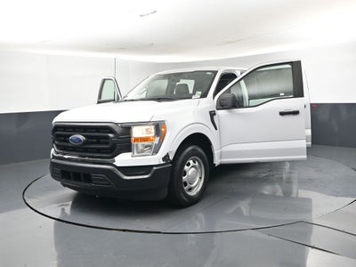 2021 Ford F-150 XL 101A