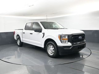 2021 Ford F-150 XL 101A