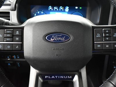 2024 Ford F-150 Platinum 702A