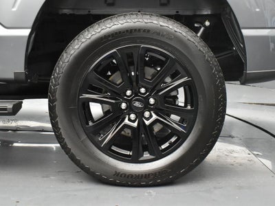 2024 Ford F-150 Platinum 702A